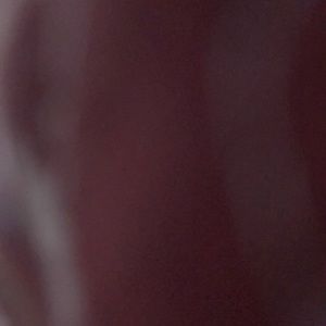 Meet your Posher, Hey sophia do you really like ariana grande